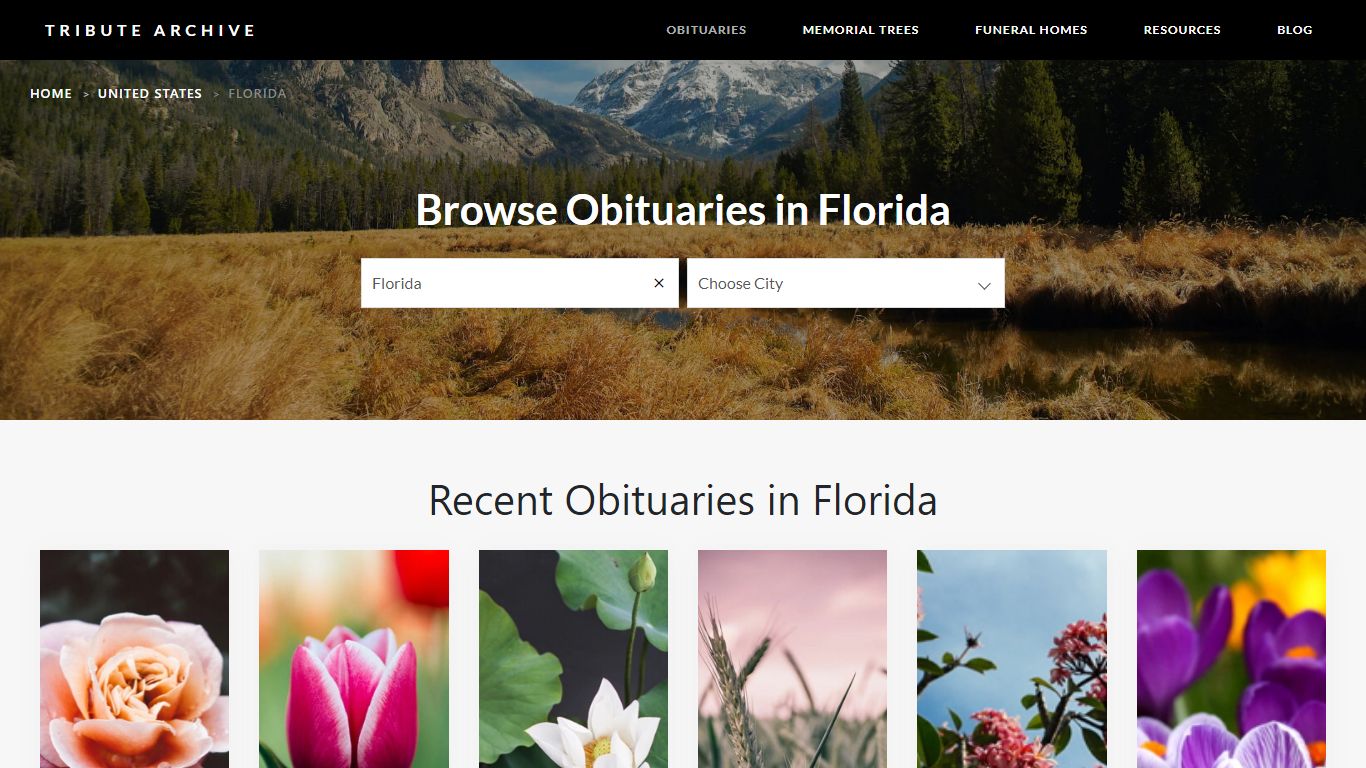 Florida Obituaries | Tribute Archive